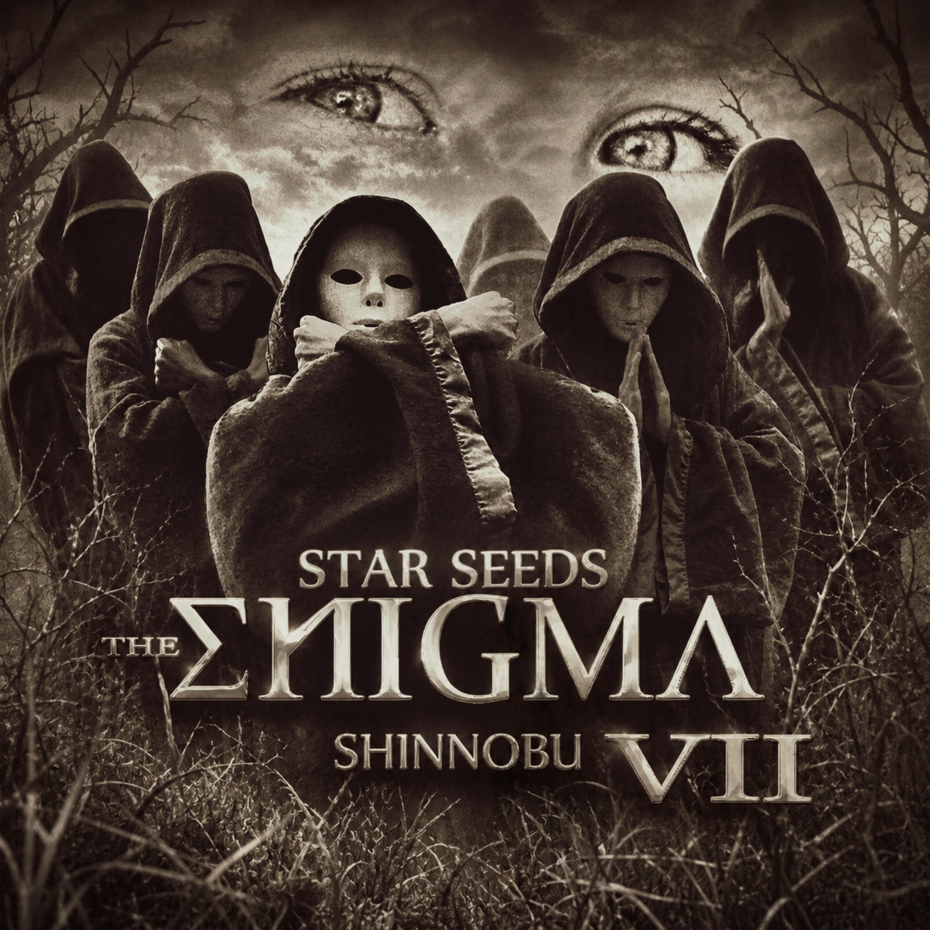 The Enigma VII (Stars Seeds)